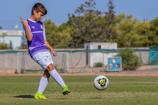 通过详细分 通过详细分