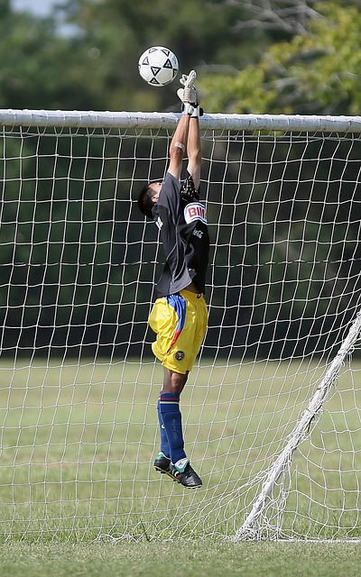 造上表现得 造上表现得