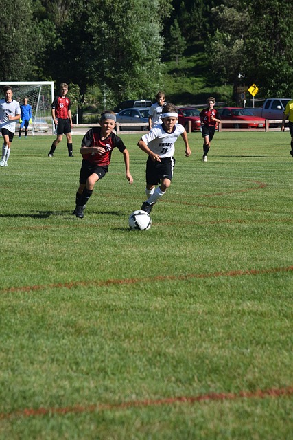 我们不妨参 我们不妨参