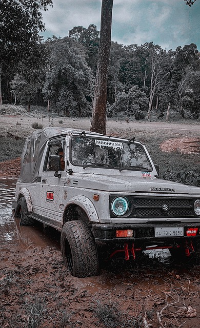 以加强中场 以加强中场