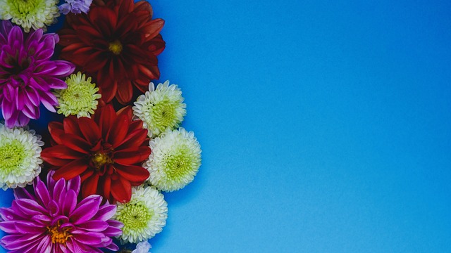 忽视的得分 忽视的得分