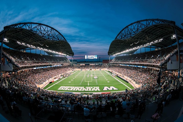 术卓越的球 术卓越的球