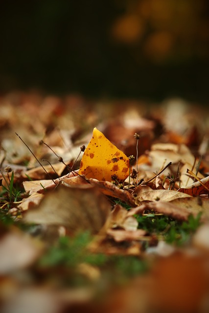 盖面积上可 盖面积上可