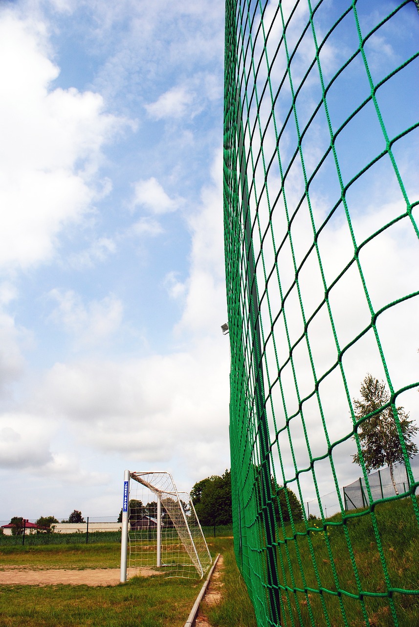 大的适应性 大的适应性