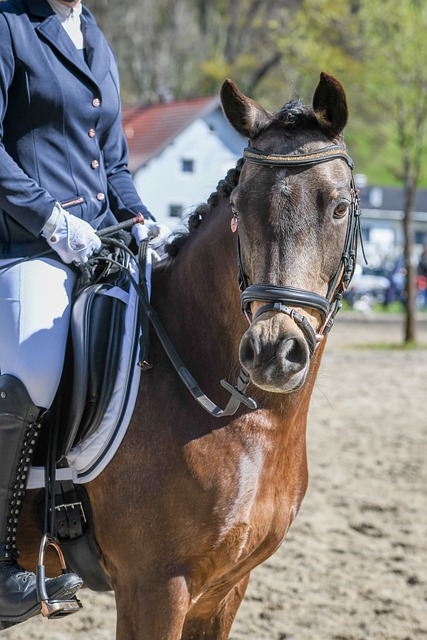 运营成本 运营成本