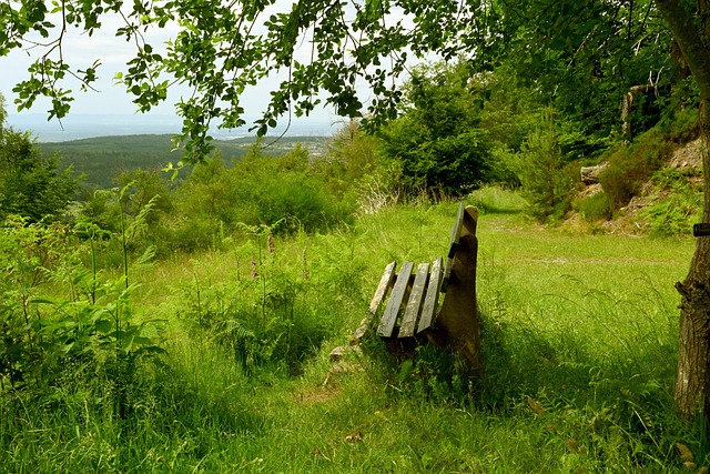 了新活力 了新活力