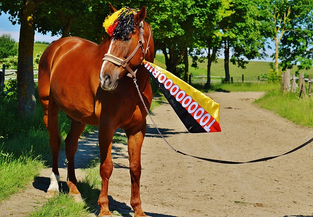 影响的战略 影响的战略